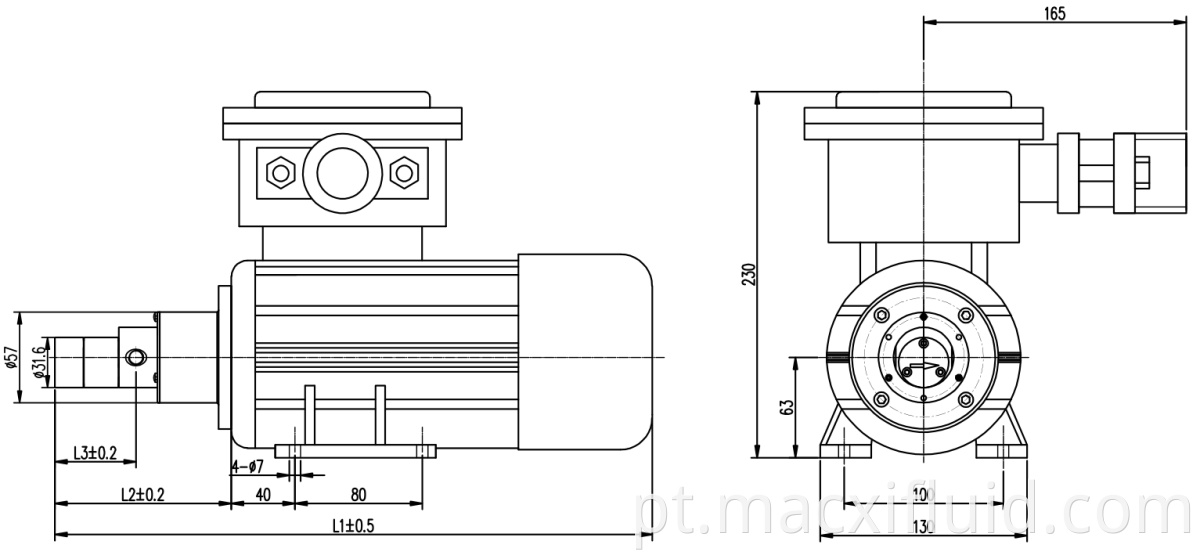 Prova de explosão miniatura magneticamente a bomba de engrenagem para industrial química M0.07S57YB0.18kw2p